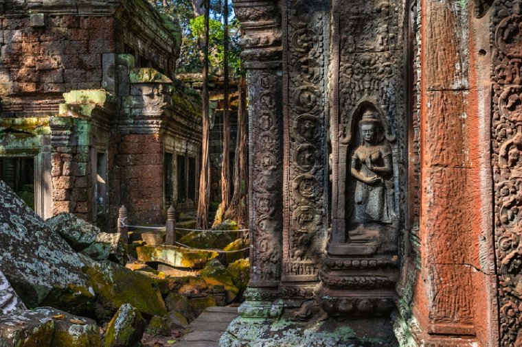 054 Cambodja, Siem Reap, Ta Prohm.jpg